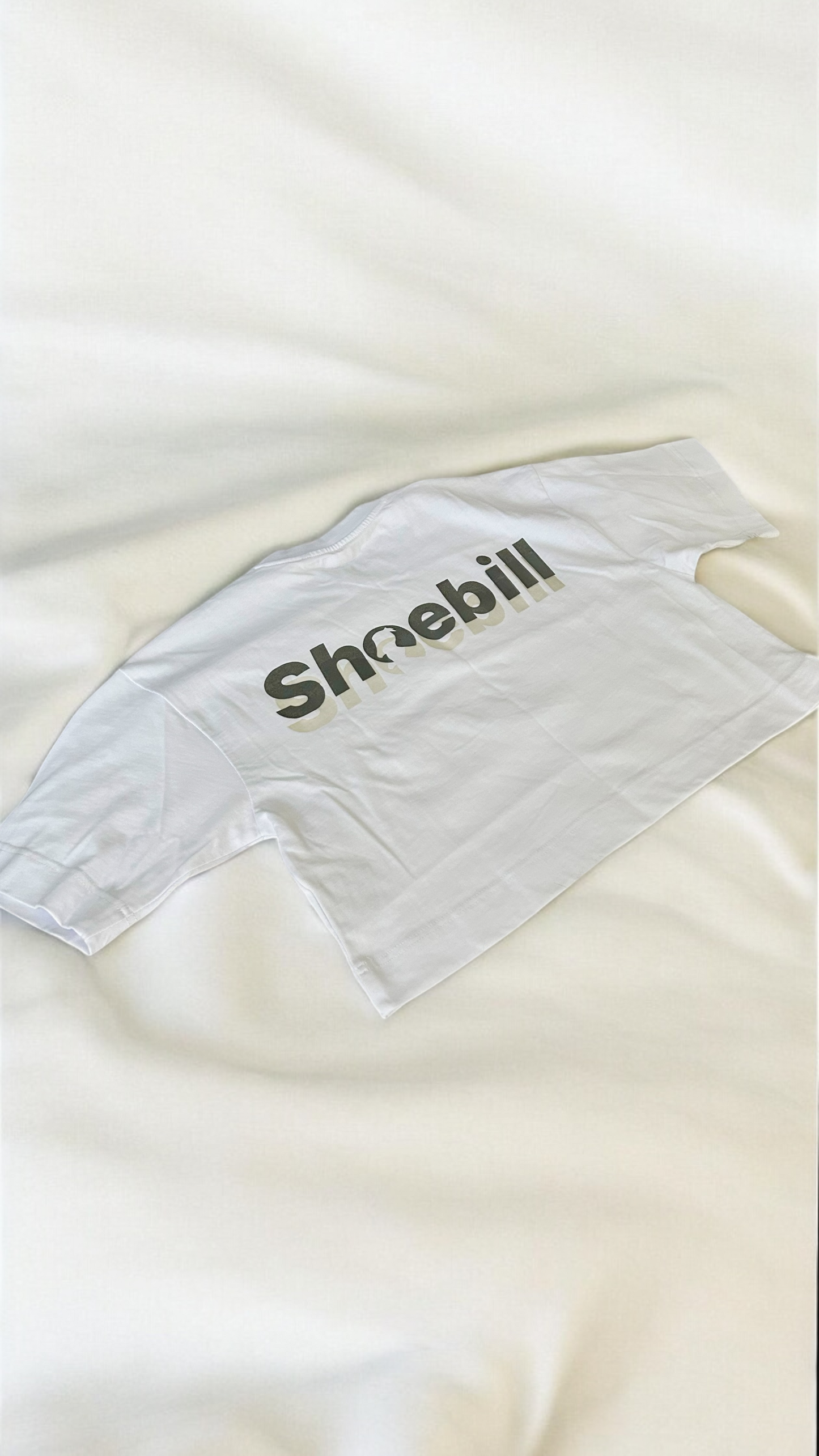 Shoebill Oversized-Relaxed Crop Top For Her