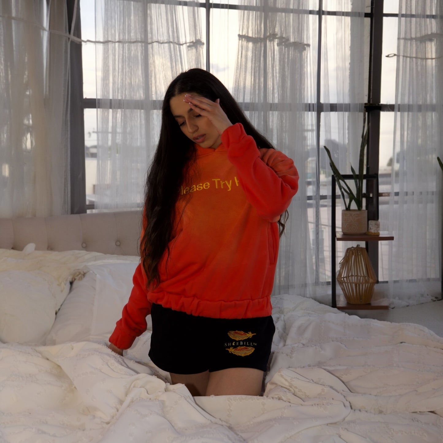 Pullover Hoodie – “Please Try Harder”